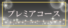 マンツーマンでオンライン家庭教師が指導するプレミアコース