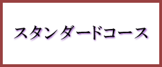 オンライン家庭教師が指導するスタンダードコース